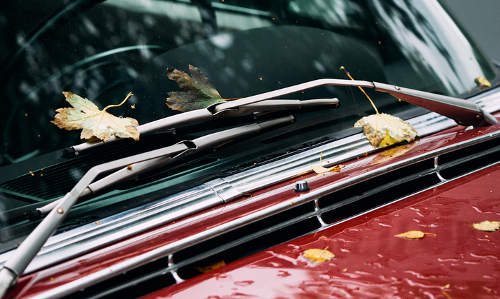 tree sap